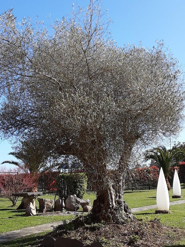 Hotel Marques De La Moral Naveces 外观 照片